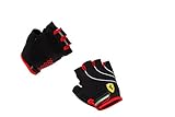 Ferrari Gloves, Multicolor, X-Large
