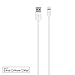Belkin Lightning to USB Cable - MFi-Certified iPhone Lightning Cable (6-inch), White, Compatible with iPhone 11, 11 Pro, 11 Pro Max and previous iPhone models with Lightning connector