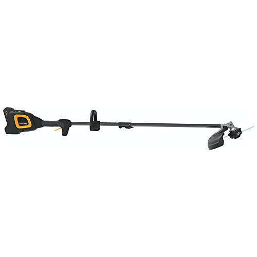 Pole Saw Reviews » Blog Archive » Review Of Poulan Pro PPB40T Cordless
