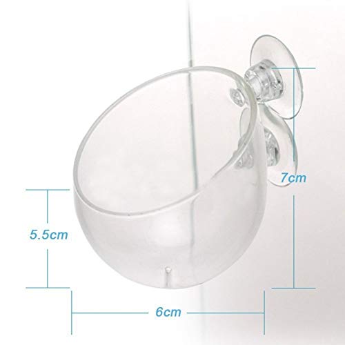 Decoration Fish Tank - Mini Glass Pot Polka Water Potted Aquatic Planting Cylinder Cup Aquarium Accessory Decoration Fish Tank - Deal Corporation Lot Potty Potentiometer Hatful Mary - 1PCs - Thumbnail 6