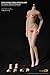Phicen 1/6 Female Seamless Body Super Flexible Figure PLMB2016-S17B
