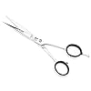 Maxylon-Hairdressing-Scissors-for-Professional-Hairdressers-6-inch-Stainless-Steel-Hair-Cutting-Shears-for-Salon-Barbers-Men-Women Maxylon Hairdressing Scissors for Professional Hairdressers 6 inch Stainless Steel Hair Cutting Shears for Salon Barbers…
