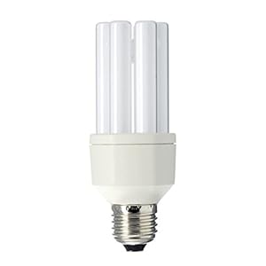 Spaarlamp trappenhuis 20 Watt E27 827 STAIRWAY – Philips 20W warm wit