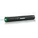 Tactical Green Hunting Rifle Scope Sight Laser Pen Demo Remote Pen Pointer Projector Travel Outdoor Flashlight LED Interactive Baton Funny Laser toy Hurryzon Green laser pen