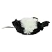 Hyper Pet Skinz Skunk Medium, Black & White