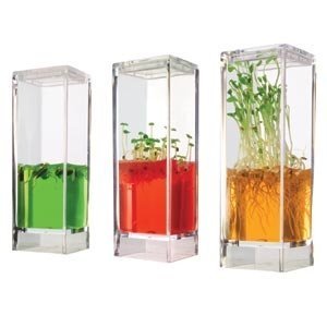 Globus Plantarium Gardenlab Educational Kit by Globus