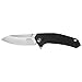 Kershaw Rove (1965) Folding Pocket Knife EDC with Drop-Point Blade; Features SpeedSafe Assisted Opening, Flipper, Liner Lock, Lanyard Hole, Deep-Carry Pocketclip, Wear Resistance & Edge Retention
