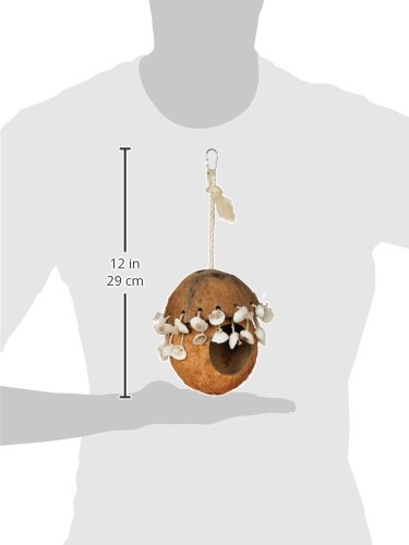 Prevue Hendryx 62802 Naturals Coco Hideaway with Shells Bird Toy