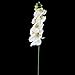 1 Piece Simulation Butterfly Orchid Artificial Flower Plant Home Decoration White