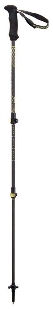 CAMP Backcountry Carbon 2.0 Poles, schwarz