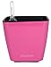 Aquaphoric Self Watering Planter (5”) + Fiber Soil = Foolproof Indoor Home Garden. Decorative Planter Pot for All Plants, Flowers, Herbs, African