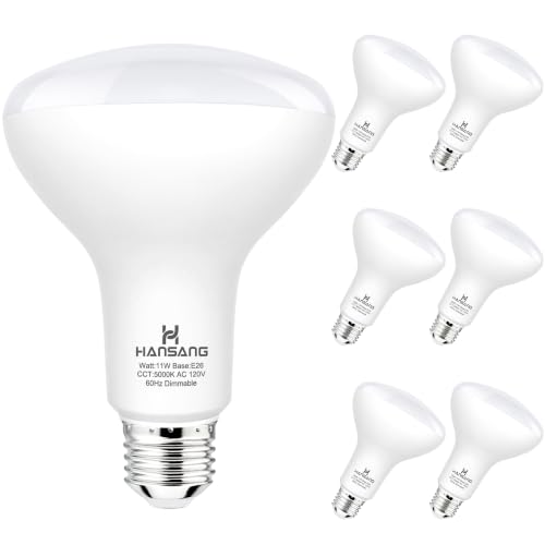 LED 投光灯泡
