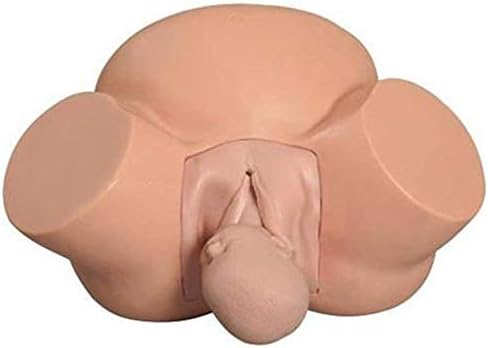 LXT PANDA Childbirth Model Training Simulator, Advanced Midwifery Training Model Manikin Patient Care Simulator for Nursing Medical Training Teaching Model.
