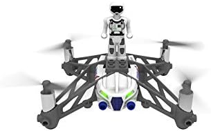 parrot airborne cargo mars