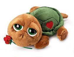 Lil Peepers Shelby the Love Turtle by Russ Berrie