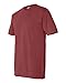 Comfort Colors 4.8 Oz. Ringspun Garment-Dyed T-Shirt (C4017)- BRICK, L