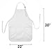 DALIX Apron Commercial Restaurant Home Bib Spun Poly Cotton Kitchen Aprons (2 Pockets) in White