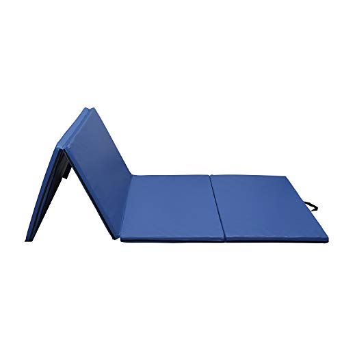 ZENOVA Gymnastics Mat 4'x10' Thick Large Folding Tumbling Gym Panel Crash Mats with Handles Women Home Gym Fitness (Pure Blue)