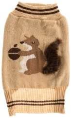 squirrel dog sweater