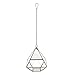 Clear Glass & Brass Tone Metal Faceted Hanging Air Plant Terrarium/Tea Light Candle Holder - MyGift