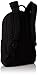 Victorinox Altmont 3.0 Laptop Backpack, Black, 18.3-inch