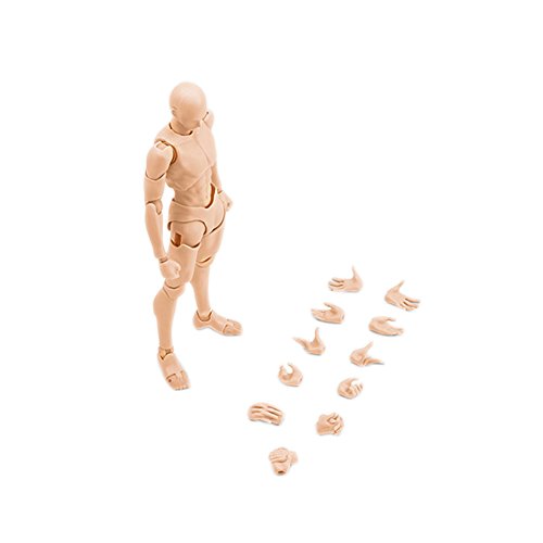 Action Figure Model, Tulas Male/Female Body Chan Kun Doll with Accessories Kit for Drawing, Sketching, Painting, Artist,Youth Jersey Cartoon