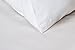 Web Linens Inc One - Wedge Pillow - 100% Cotton Shell - for Bed, Couch, Floor - Exclusively by Blowout Bedding RN# 142035