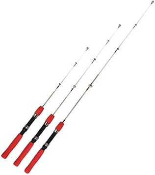 wish fishing rods