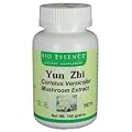 Coriolus Mushroom Extract (Yun Zhi) é›²èŠæ¿ƒç¸®ç²‰100 gm powder