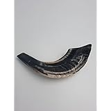 SALE Kosher Black Rams Ram Horn Natural Shofar From Israel Chofar Made in Israel size Between 12-14