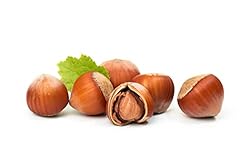 Raw In Shell Filberts/Hazelnuts (2 Lbs.) - Vegan