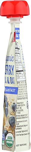EARTHS BEST BABY POUCH BLUEBERRY BANANA, 4 OZ