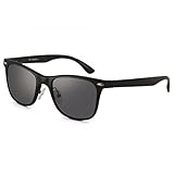 Dollger Polarized Wayfarer Sunglasses for Cycling Driving Fishing Metal Frame