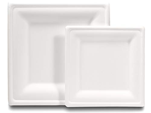 [100 COUNT] Compostable eco-friendly Square Plates 50 dinner plates and 50 dessert plates made from wheat straw fiber bagasse (sugarcane)