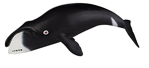 Bowhead Whale