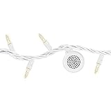 Bright Tunes Indoor/Outdoor Warm White Incandescent String Lights with Bluetooth Speakers