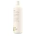 Aveeno Positively Nourishing Antioxidant Infused Body Wash with White Peach & Ginger, Lightly Scented Daily Nourishing Body Wash, 16 fl. oz
