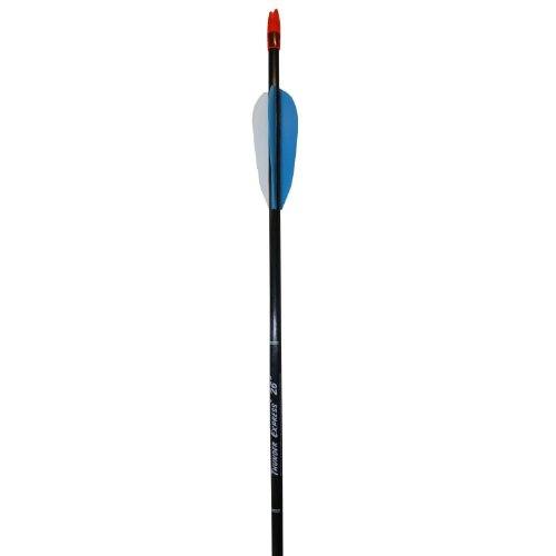 Buy Carbon Express Thunder Express II 26Inch Youth Arrow Online at