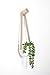 Mkono Ceramic Hanging Planter Succulent Air Plant Flower Pot Wall Decor, Set of 3