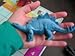 Dinosaurs Toys, Trivia Game & E-Book - 12 Large Assorted Figures - by TOOKKY