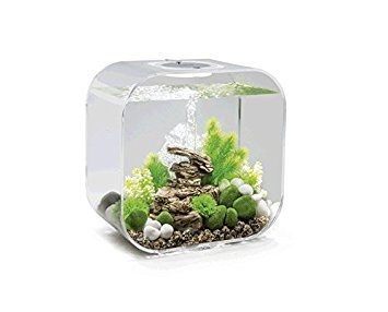 biOrb Life 30 Aquarium with MCR – 8 Gallon, Transparent