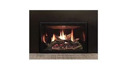 Amazon Com Empire Comfort Systems Rushmore 35 Dv Lp Insert W