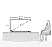 VIZIO D43-D1 43-Inch 1080p Smart LED TV (2016 Model)thumb 2