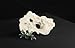 Universal Rocks Decorock-040 Decorative Artificial Texas Holey Rock, White