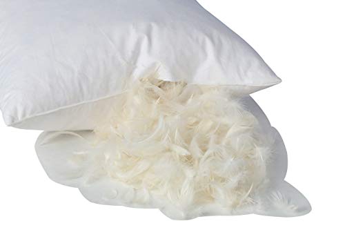 L' COZEE 100% Cotton Cover, Feather & Down Pillow, Best use for Decorative Pillows & for Firm Sleepers, Dust Mite Resistant (not Polyester Filled) Size 16x24 - Set of 2