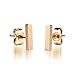 14K Rose Gold Plated Stainless Steel Stud Earring, A Pair Stick Tiny 10mm Stud Earrings Ge314Short