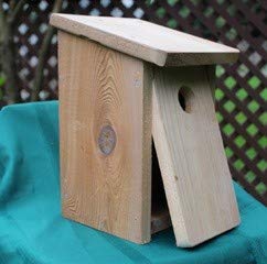Amazon Com Backyard Bird Centre Bluebird House Kit By I Can