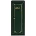 Stack-On GCG-14P Steel 14-Gun Steel Security Cabinet, Hunter Green