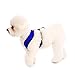 Gooby Comfort X Head In Harness - Blue, Medium - No Pull Small Dog Harness, Patented Choke-Free X Frame - Perfect on the Go Dog Harness for Medium Dogs No Pull or Small Dogs for Indoor and Outdoor Use