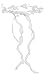 Darice VL6301 Crown Finish Girl Headpiece with Rose and Lilly Flowers, White